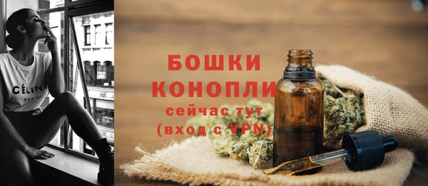 ПСИЛОЦИБИНОВЫЕ ГРИБЫ Новодвинск