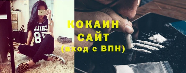 ПСИЛОЦИБИНОВЫЕ ГРИБЫ Новодвинск