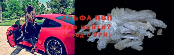 твердый Новокубанск
