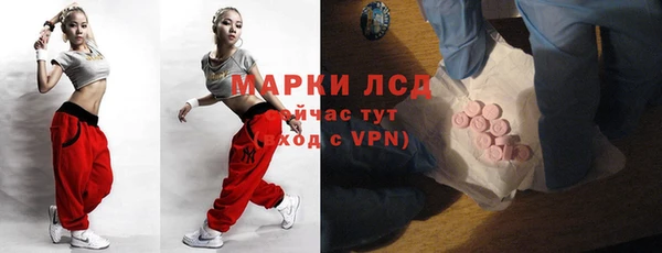 твердый Новокубанск