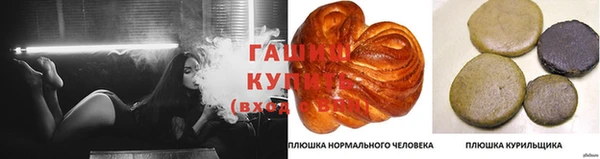 твердый Новокубанск