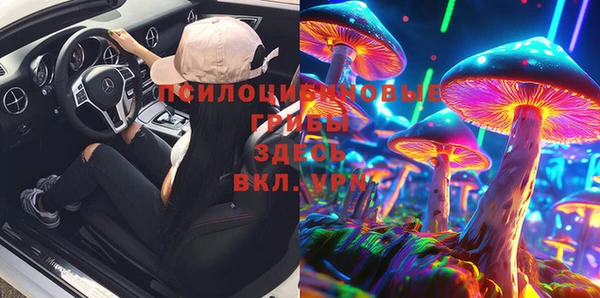 сатива Нягань