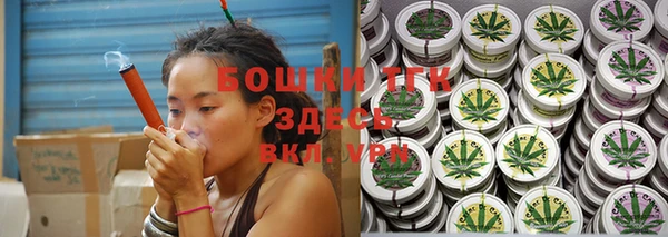 сатива Нягань