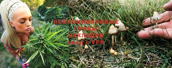 a pvp Няндома