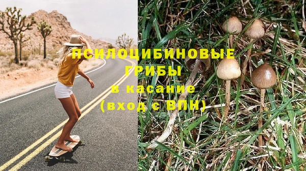 твердый Новокубанск