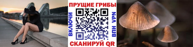 Галлюциногенные грибы MAGIC MUSHROOMS  купить  сайты  Полярный 